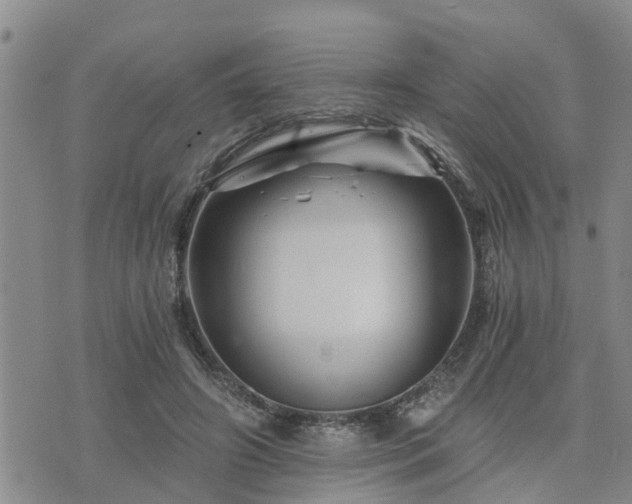 X0000075860498200609221759