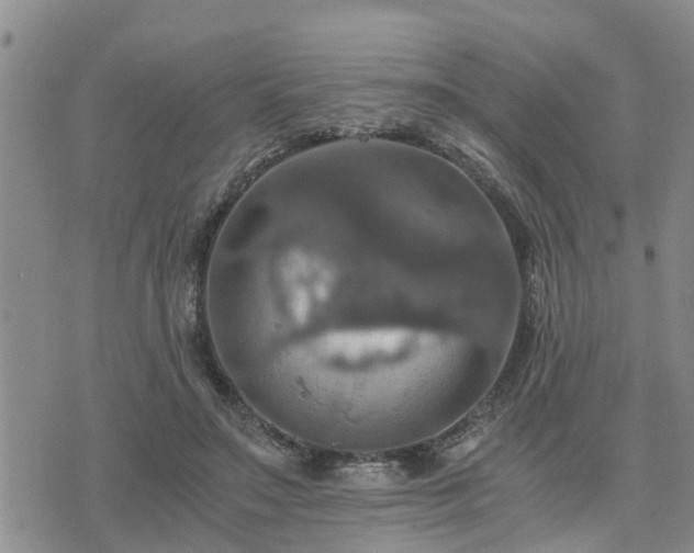 X0000075860499200609221759