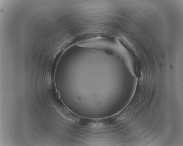 X0000075860500200609221759