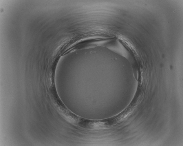 X0000075860501200609221759