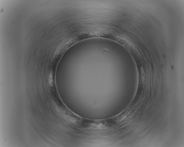 X0000075860502200609221759