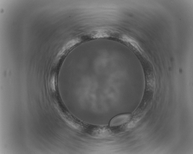 X0000075860503200609221759