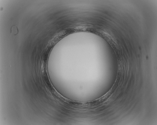 X0000075860504200609221759