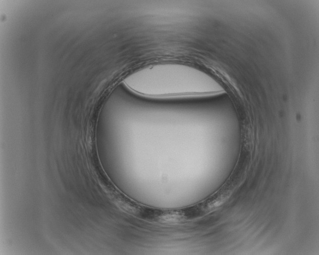 X0000075860505200609221759