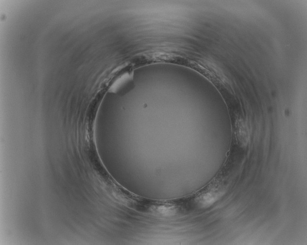 X0000075860506200609221759