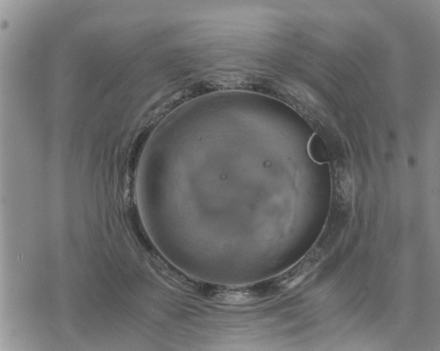 X0000075860507200609221759