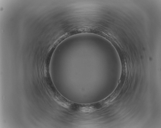 X0000075860508200609221759