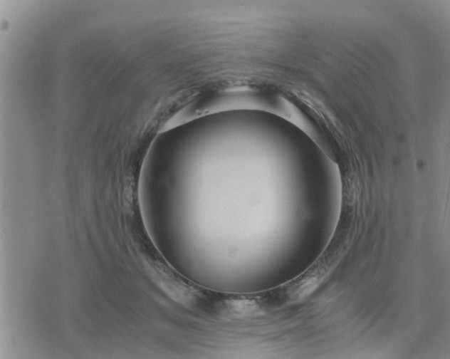 X0000075860509200609221759