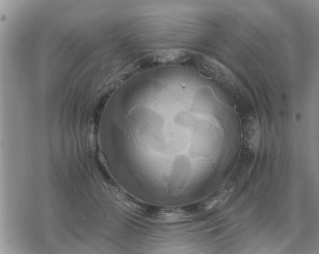 X0000075860510200609221759