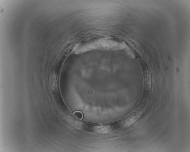 X0000075860511200609221759