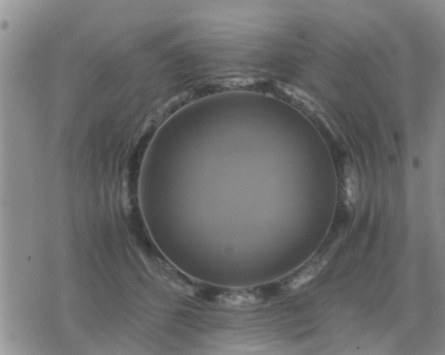 X0000075860512200609221759