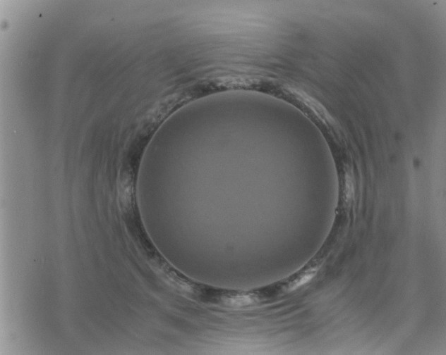 X0000075860513200609221759