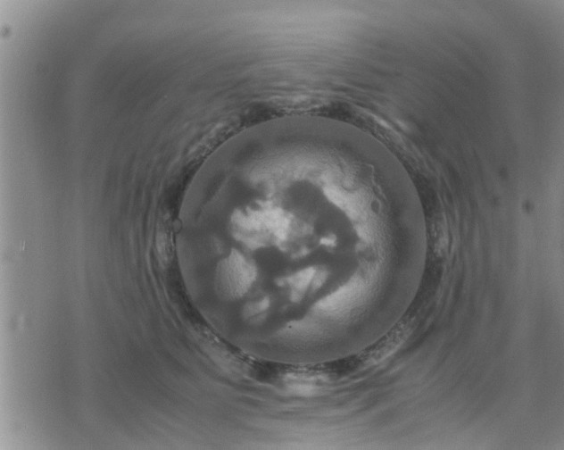 X0000075860515200609221759