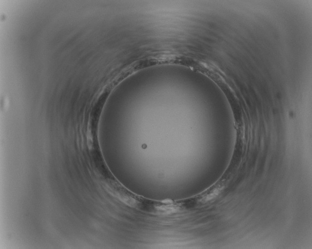 X0000075860516200609221759