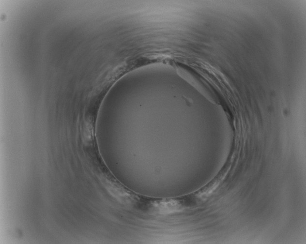 X0000075860517200609221759