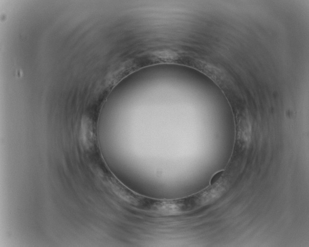 X0000075860518200609221759