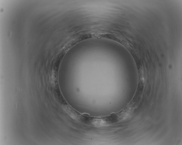 X0000075860519200609221759