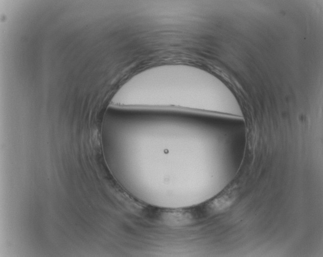 X0000075860521200609221759