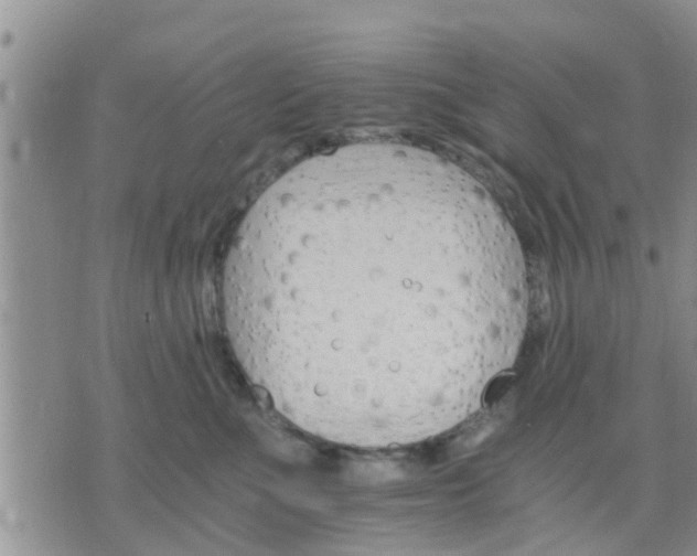 X0000075860523200609221759