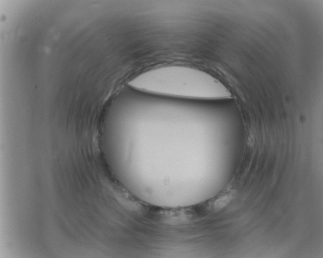 X0000075860524200609221759