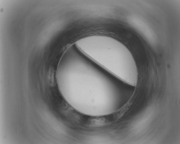 X0000075860525200609221759