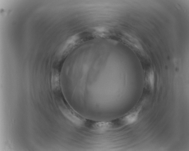 X0000075860526200609221758