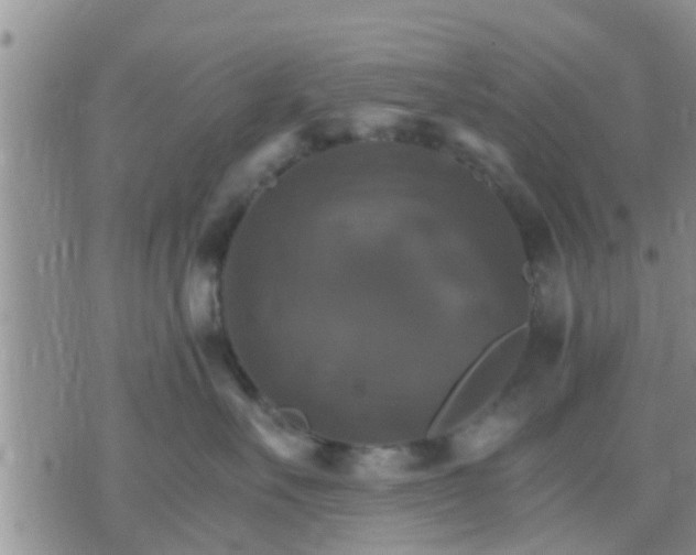 X0000075860527200609221758