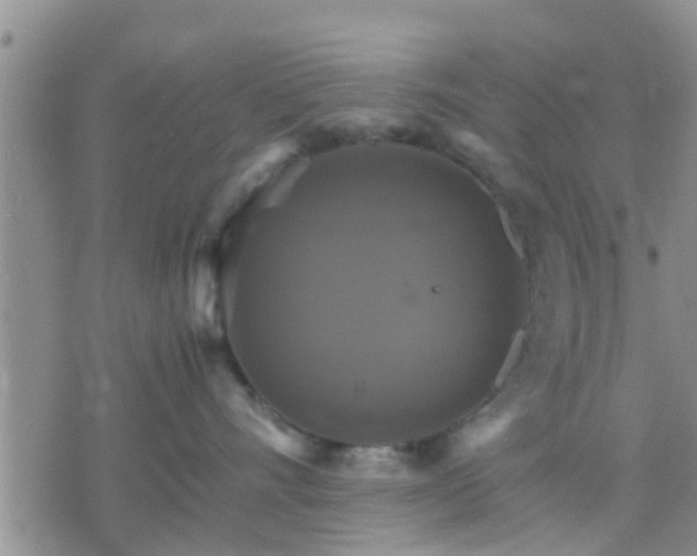 X0000075860528200609221758