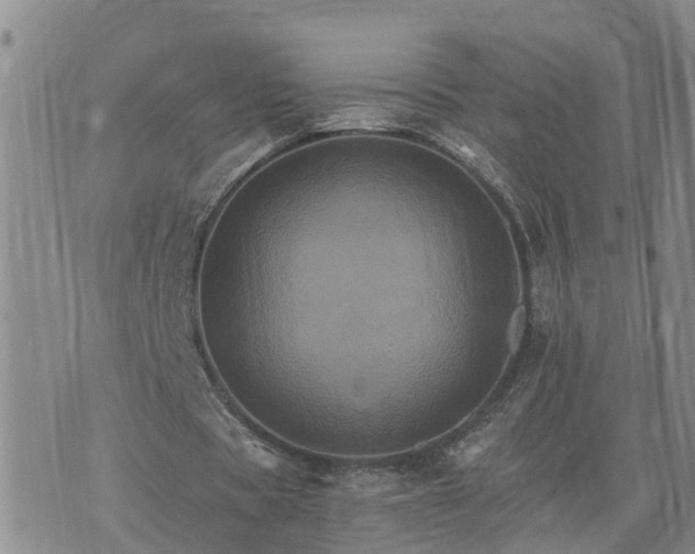 X0000075860529200609221758