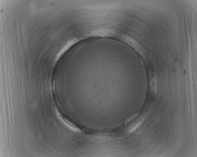 X0000075860530200609221758