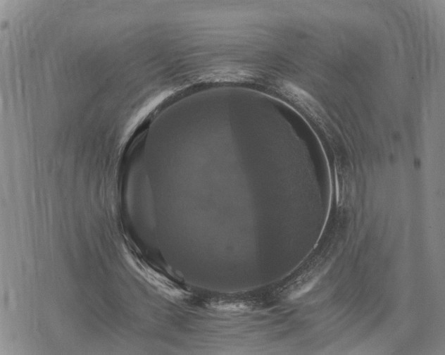 X0000075860531200609221758