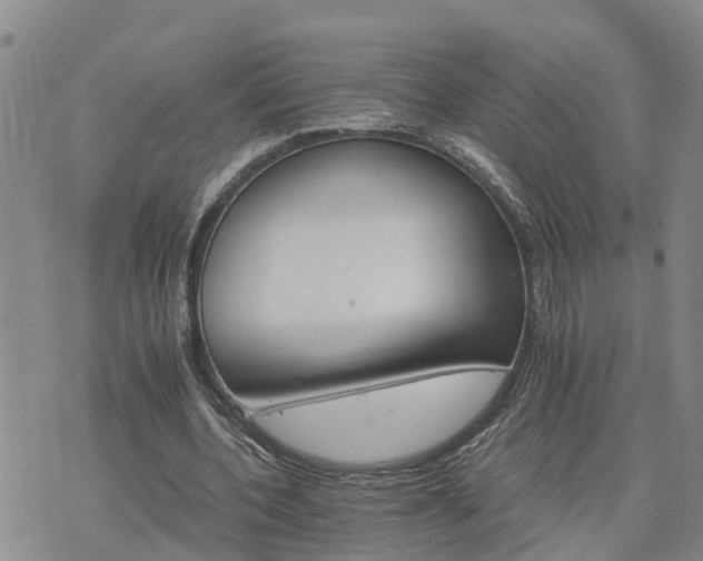 X0000075860532200609221758