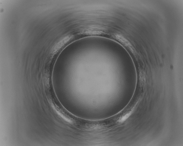 X0000075860533200609221758