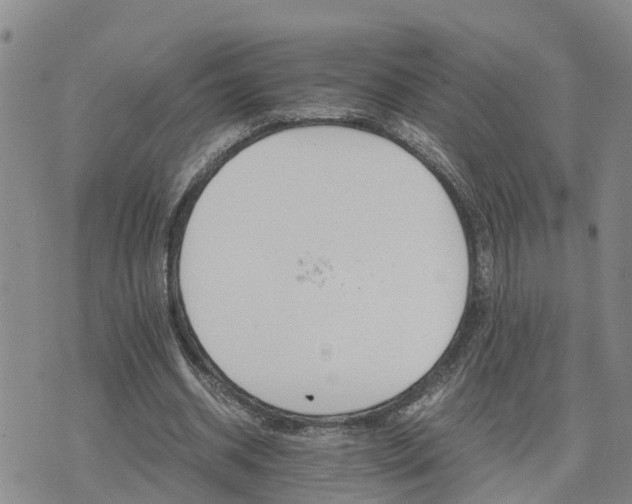 X0000075860534200609221758