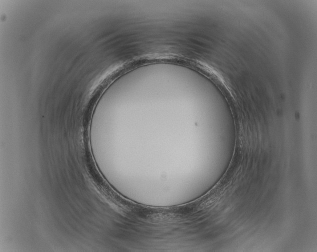 X0000075860535200609221758