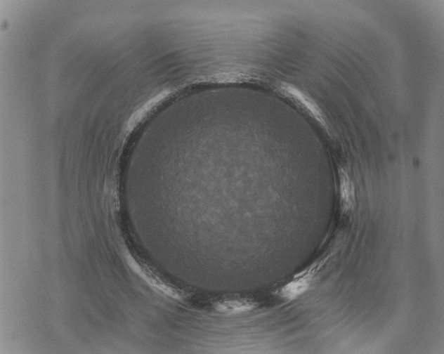 X0000075860536200609221758