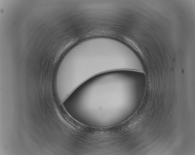 X0000075860538200609221758