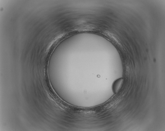 X0000075860539200609221758