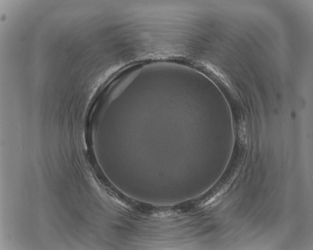 X0000075860540200609221758