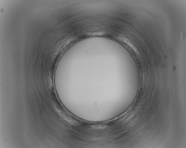 X0000075860541200609221758