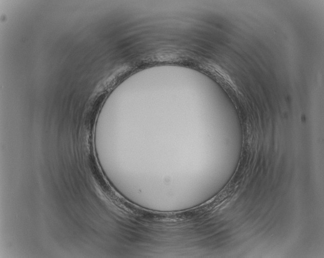 X0000075860542200609221758