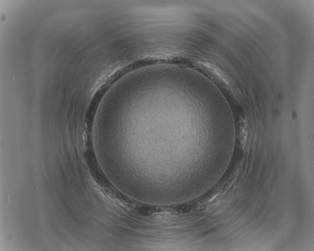 X0000075860544200609221758