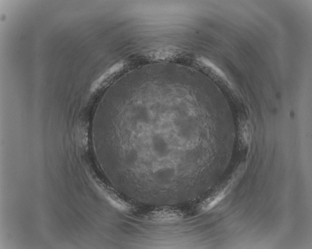 X0000075860545200609221758