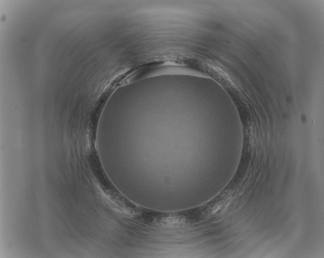 X0000075860546200609221758