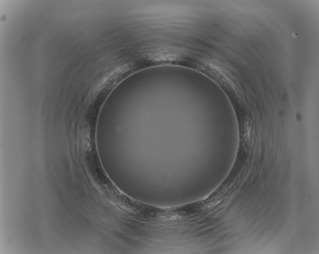 X0000075860547200609221758