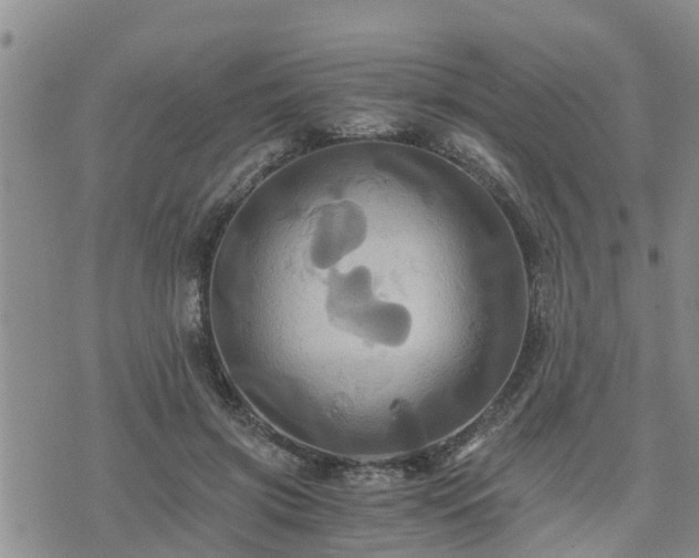 X0000075860549200609221758