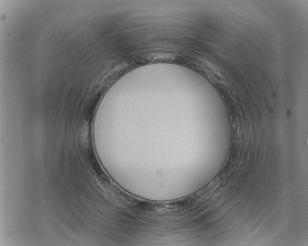 X0000075860550200609221758