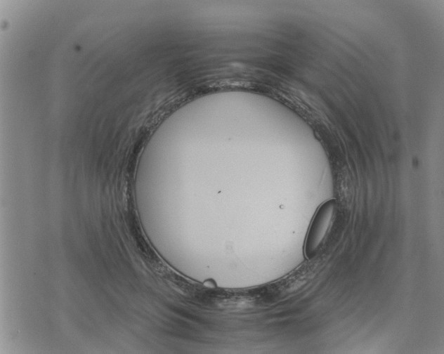 X0000075860551200609221758