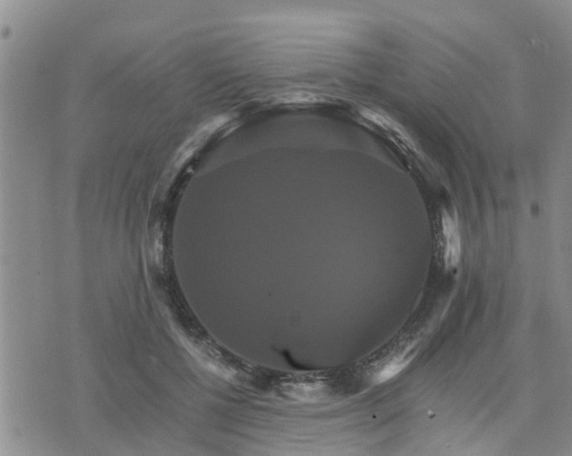 X0000075860552200609221758