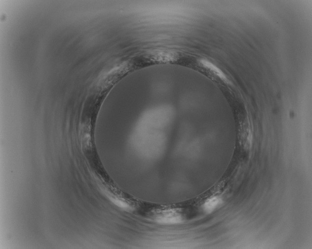 X0000075860553200609221758